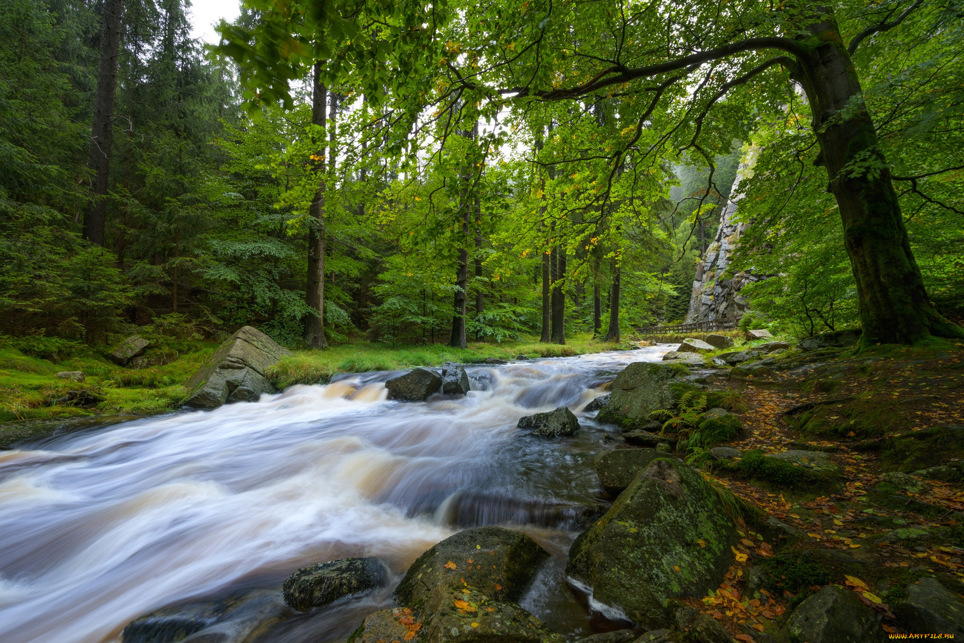 , , , , , germany, , saxony, , , erzgebirgskreis, schwarzwassertal, river, black, pockau, , , 